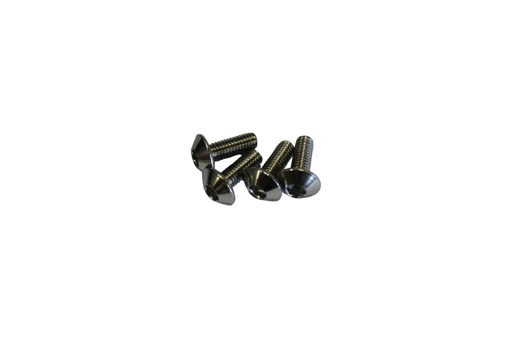 Surron Screw FB03001 M6*16 (MPC: FB03-001-06-016-F0) (Packed in 5's)